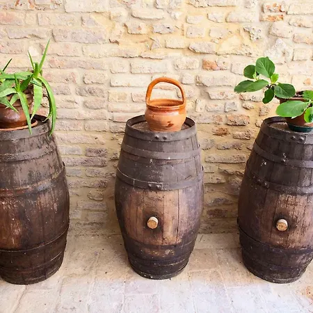 Residenza D'epoca Palazzo Buonaccorsi Otel